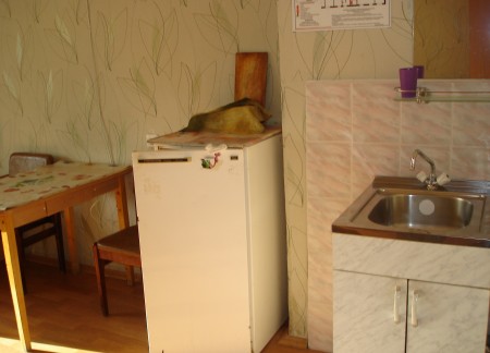 DSC02555
